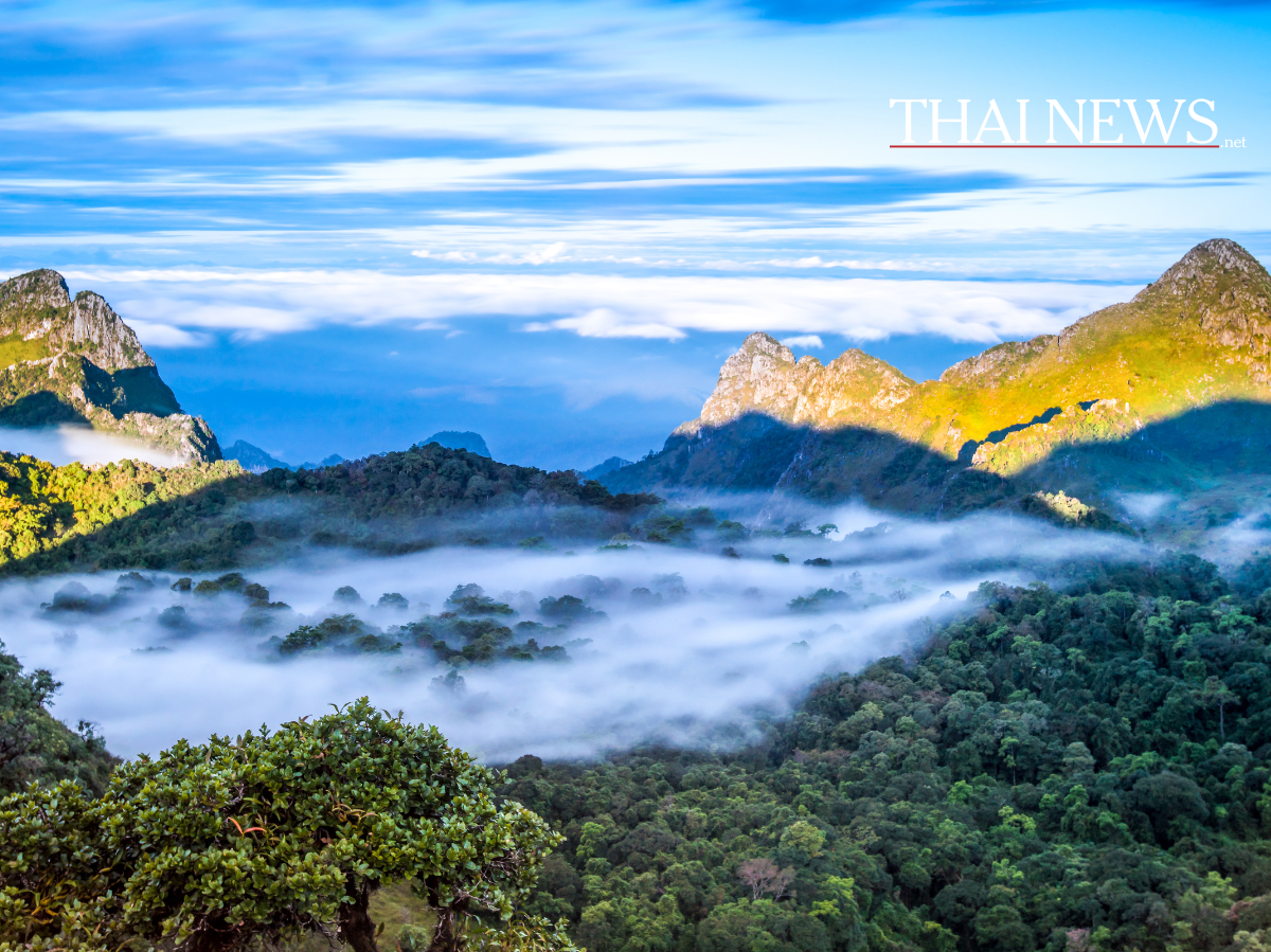 Doi Pha Hom Pok: Winterwunderland und beliebtes Ziel für Touristen!