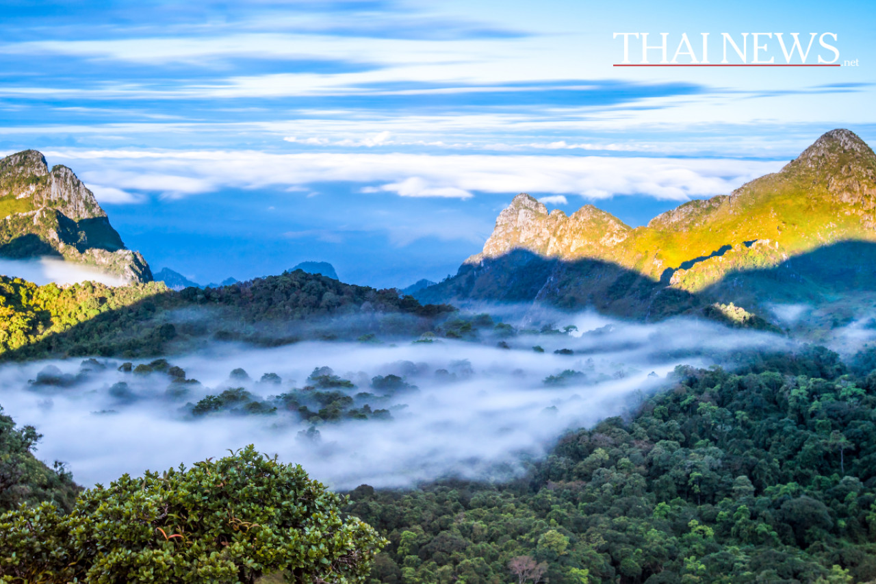 Urahnensounds und Pilze: Neue Ausstellung erweckt Natur in Chiang Mai!