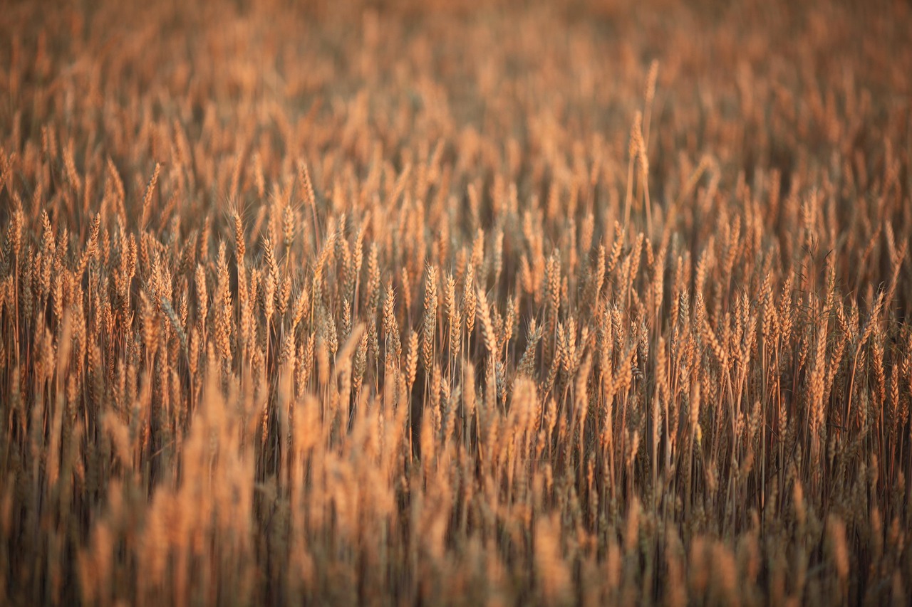 Ausflüge in die Umgebung